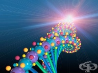 ��������� ���������� ������, ����� �� ��������������