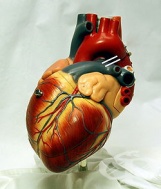 ��� ������� ��������� ������� � ����� ������� ����������� �� ���������� �����