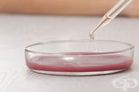 ����� ��������� ������������ ����� ����