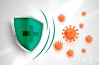 Как имунитетът и кръвоносните съдове предпазват децата от тежко протичане на COVID-19