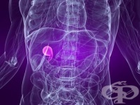 Д-р Васил Горанов: Всеки трети човек у нас има камъни в жлъчния мехур