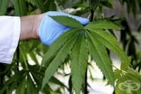 ������ �� ���������� ��������� ����������� ���� 2018 ������