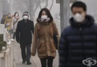 100 ������� ���� � ����� ������� �� ����