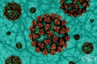 Учени разкриха структурата на ензима на SARS-CoV-2, противопоставящ се на антивирусните лекарства