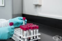 Изходящите тестове на българските студенти, евакуирани от Ухан, са отрицателни за коронавирус