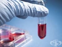 ������� ������ ����� ���������� � �������� �����