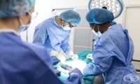 Комбинацията от имуносупресиращи лекарства с екулизумаб се оказва най-подходяща за ксенотрансплантация