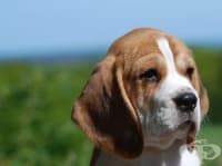 �������� �������������� ��� �� ����� ���� ��� � ������� �� ����