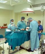 ��������� ����� �� ���� � ������������ �� ����� �� ������� �������� � ��������������� �� ���� - �������