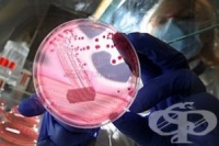 ����� ��������� ����� ��������� ������� ������������ ���� ���������� ������ - ������ ������ � ��������� �� ������