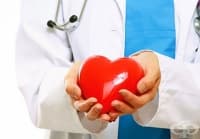 � 12 ������� �� �������� ���� �������� � ����������