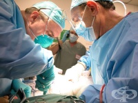 ��������� ��������: ������ ����� � ��������� "�������� ������" �� ���� ����������