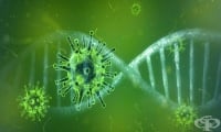 Създадоха лекарство срещу COVID-19 на основата на модифициран рекомбинантен човешки интерферон – ламбда