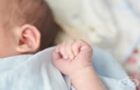 ������ ���� �� ������ ����� �� ����������, ����������������� � ������������ �����