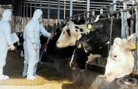 ������������ ��� ������ �� ���� ����� � �������