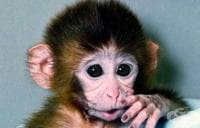 ����� �� ����� ��������� ��������� ������������ ������� �������