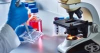 Руски учени разработиха метод за целенасочена доставка на лекарства срещу ракови клетки