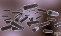 Декодират метаболизма на микроорганизмите чрез microbeMASST