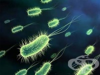 ���� ��������� �������� ��� �������� ���������