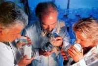 ���������� �� �������� ������ ��������� �� ��� 