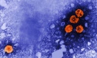 Две проучвания предлагат обяснение за мистериозния хепатит при деца