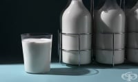 Млякото от крави с птичи грип може да зарази други животни