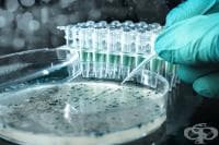 �������� ����� ������� ��������, ������� ������� ��� ���������