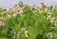 �������� � ��������� �� ������ ����� �������� ������