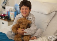 ������ ����� ������ �������� �� �������������� �� ����