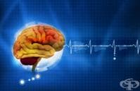 ������������ ������� ������� �� �������� ������ ��������