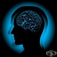 ���������� ��� ��������� �� ������������� �� ������������ � ������ ���� �������� ��������