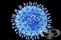 ���������� ��� �����, ��������� �� ������� ������� ����������