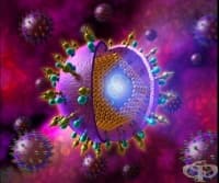 ��� � ������� � ������� �� �� ������ 