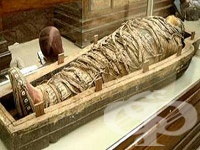 ������� ����� �� 2250 ������ � ��� �� ����������