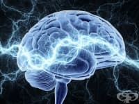 ������������ ��������� ����������� �� �������