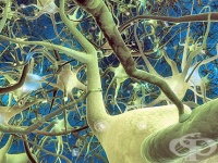 ���������� �� �������� � ��������