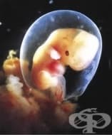 ��������� �� ����� �� ����������� ������