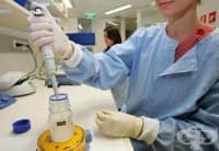 ��� ���� ������� ������������ �� ������� ��� ��� �� �������