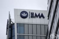 ������ ����������� �� ���� �� �������� �� ������� � ������