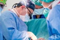 ������ ������ �� �������� ������� ������� ������� �����