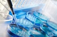 ����������� �� ������ ��� ������������ �� ���������� ����� �� ����� ������� ��������