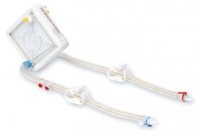 � �������� ����������� ���� ����������� �� ������� �� ����� ��������� ��������������