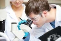 ������� ��������, ��������� �������� ��� ����������� ������� �����