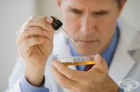 ������ ������ �� �������, ���� ��� ���� ���������