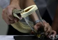 �������� ���������� ������ �� ���-���������� ���������� ����� �������� �� ����