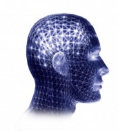 ������������� �� ������������ ������� ������ ��������� �������