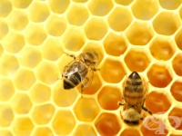 ����� ����� ���� ��� ��������������