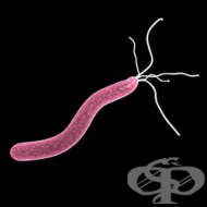 ������� ���������� ������ ����� ���������� ���� � �������� �� ���������