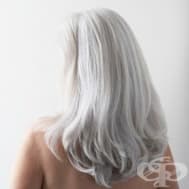 �������� ������������� ������������ �� ������