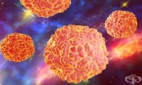 За първи път от няколко десетилетия откриват случай на полиомиелит в Израел